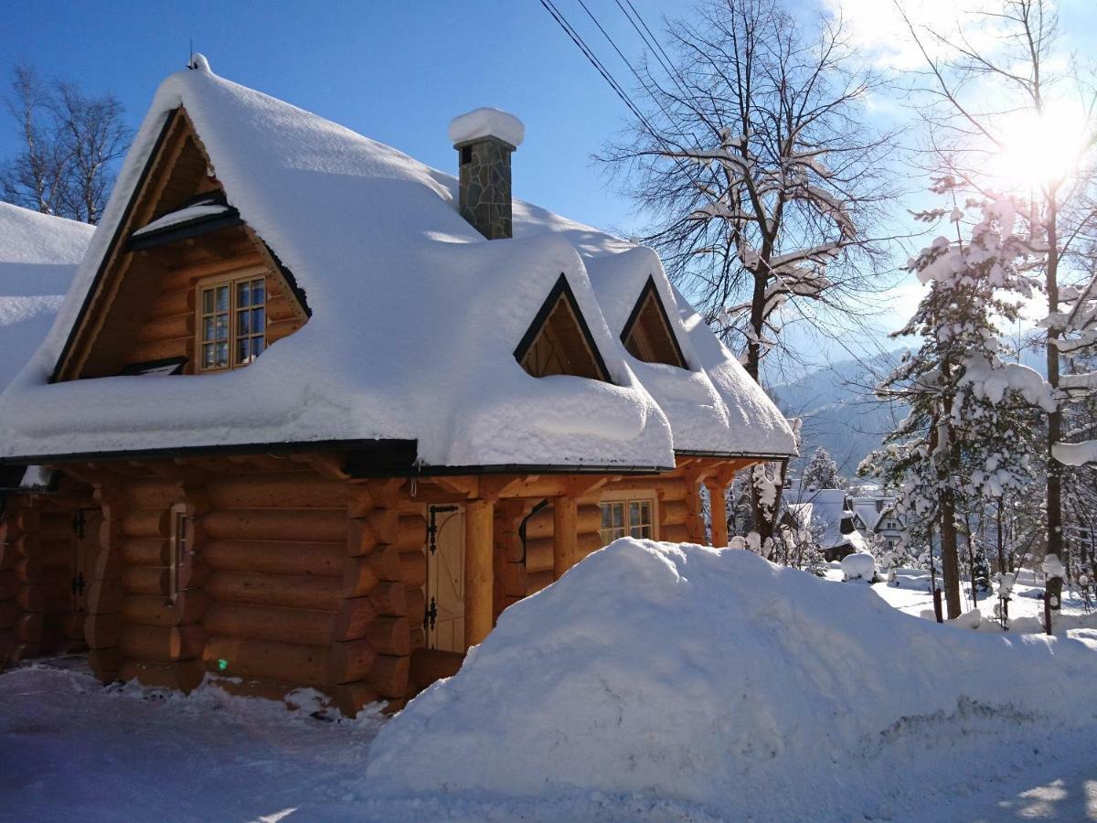 Biolo I Corno Izba Mountain Chalets Koscielisko Bagian luar foto