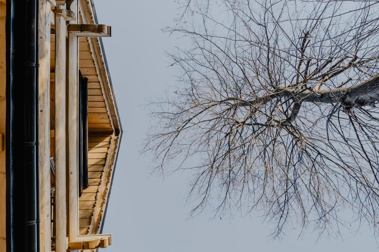Biolo I Corno Izba Mountain Chalets Koscielisko Bagian luar foto